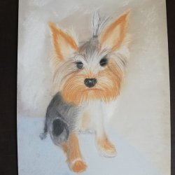 pastel sucha_ii _ beata furtak